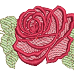 Rosa R90 em Pontos Leves