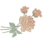 Rosas no galho - Pontos Leves