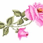 Galho de Rosas - Ponto Cruz