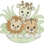 Safari e Folhas