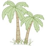 Coqueiro Palmeira - Pontos Leves