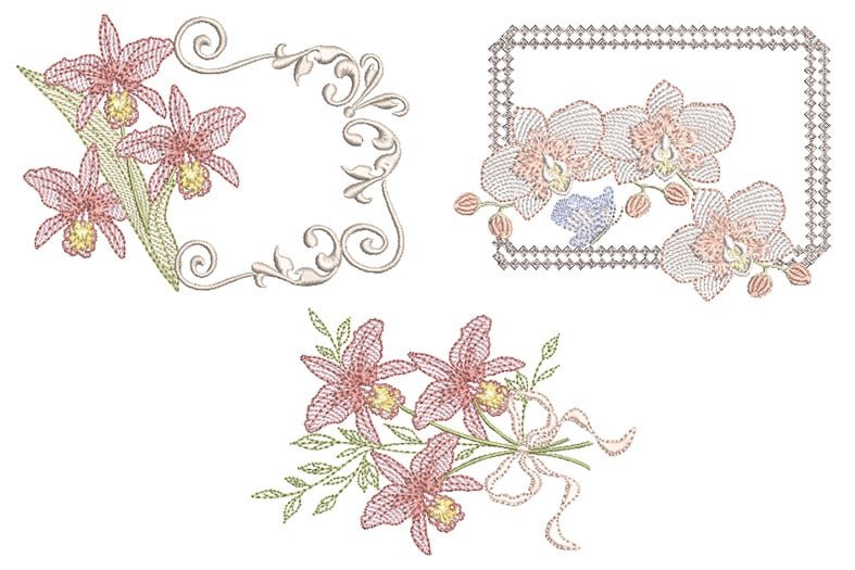 Orquideas