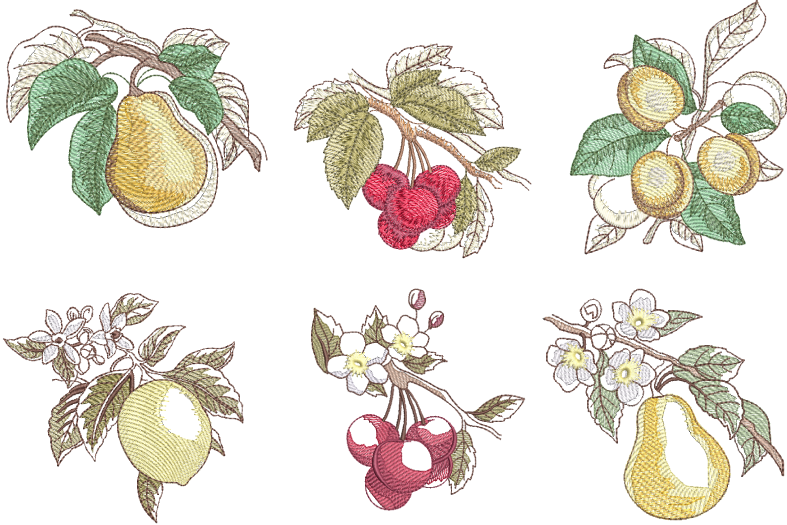 PACOTE-FRUTAS-R99