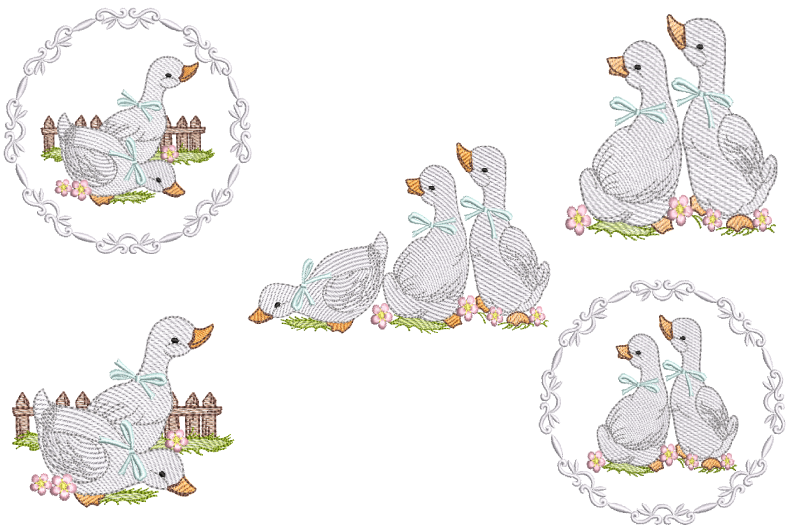 PACOTE-PATOS