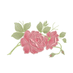 Rosas R22