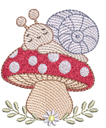 Caracol RQ 2