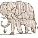 Elefante RQ 02