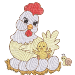 Galinha RM 7