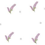 Lavandas e Bolinhas R96 em Ponto Cheio