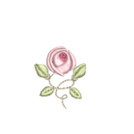 Rosa Pequena RM 1