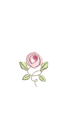 RM-Rosa-1-RM