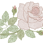 Rosa Grande 4 R99