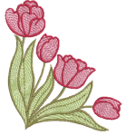 Tulipas RM 2