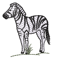 RM-Zebra RQ 2