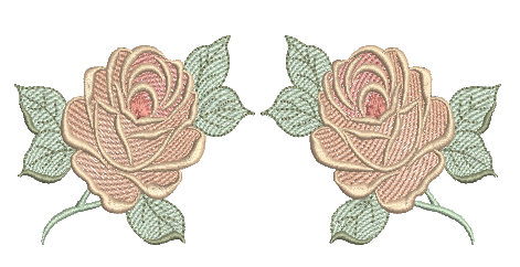 Rosas-dupla-