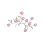 Tulipas RQ 447