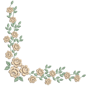Cantoneira-Rosas