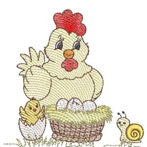 Galinha-e-Ovos