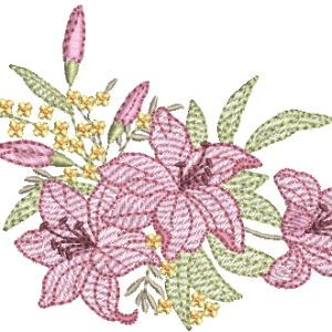 Lirio-