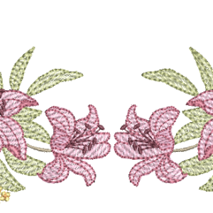 Lirios-