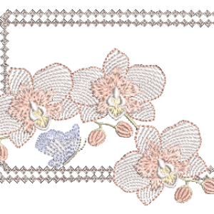 Orquidea-e-Borboleta-