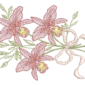 Orquidea-e-Laco