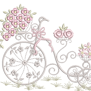 RM-Bicicleta-RM-1