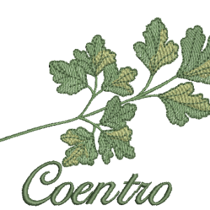 RM-Coentro RM 1