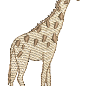 RM-Girafa RQ 2