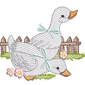 RM-Patos-RM-4