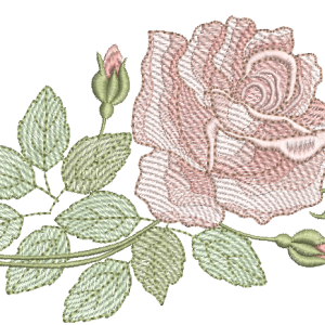 RM-Rosa-3-R98