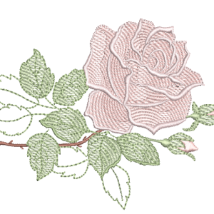 RM-Rosa-G-R98
