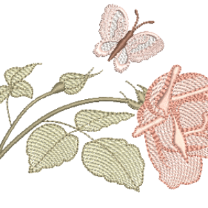 Rosa-e-Borboleta