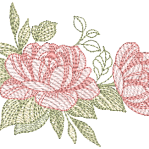 Rosas-2