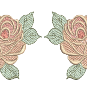 Rosas-dupla-